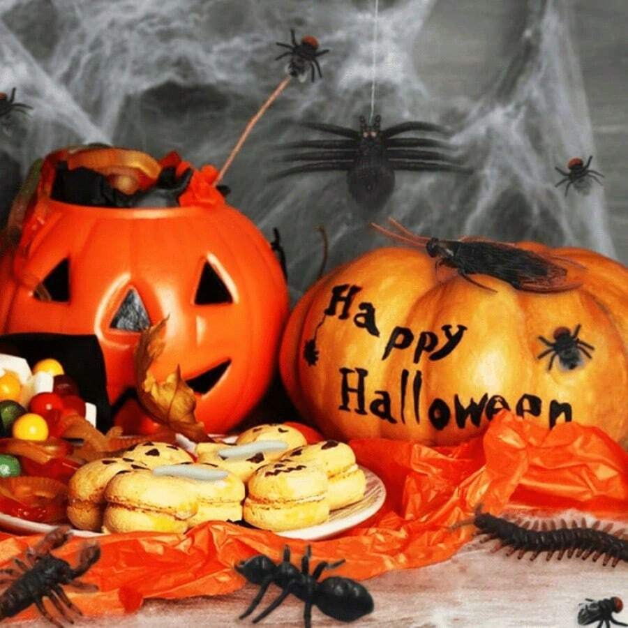 Fake Bugs & Creepy Crawlies – 20-Piece Random Pack – source gallery 7