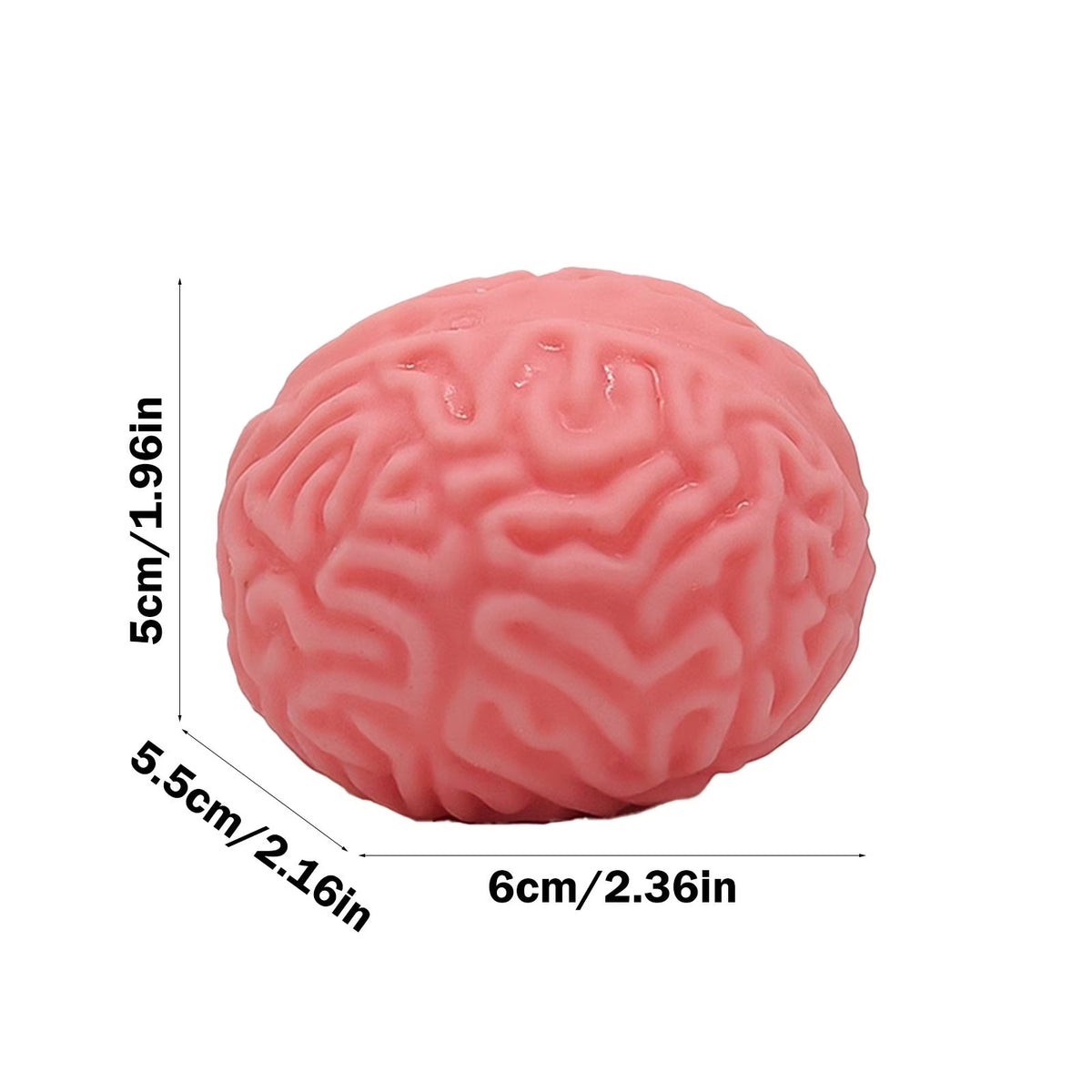 Squishy Brain Ball – product image 4